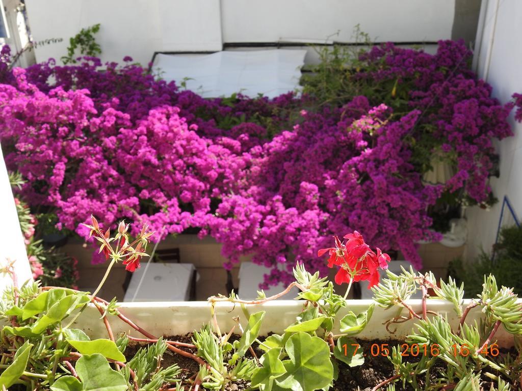 Kale Bodrum