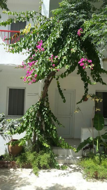 Florida Bodrum