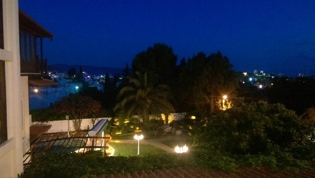 Dasis Bodrum