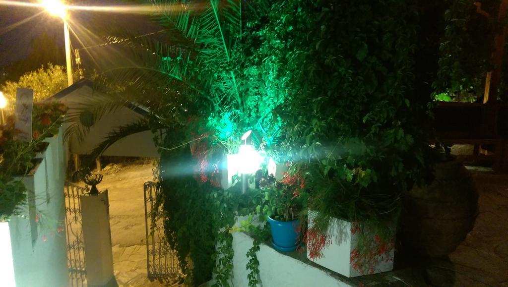 Dasis Bodrum
