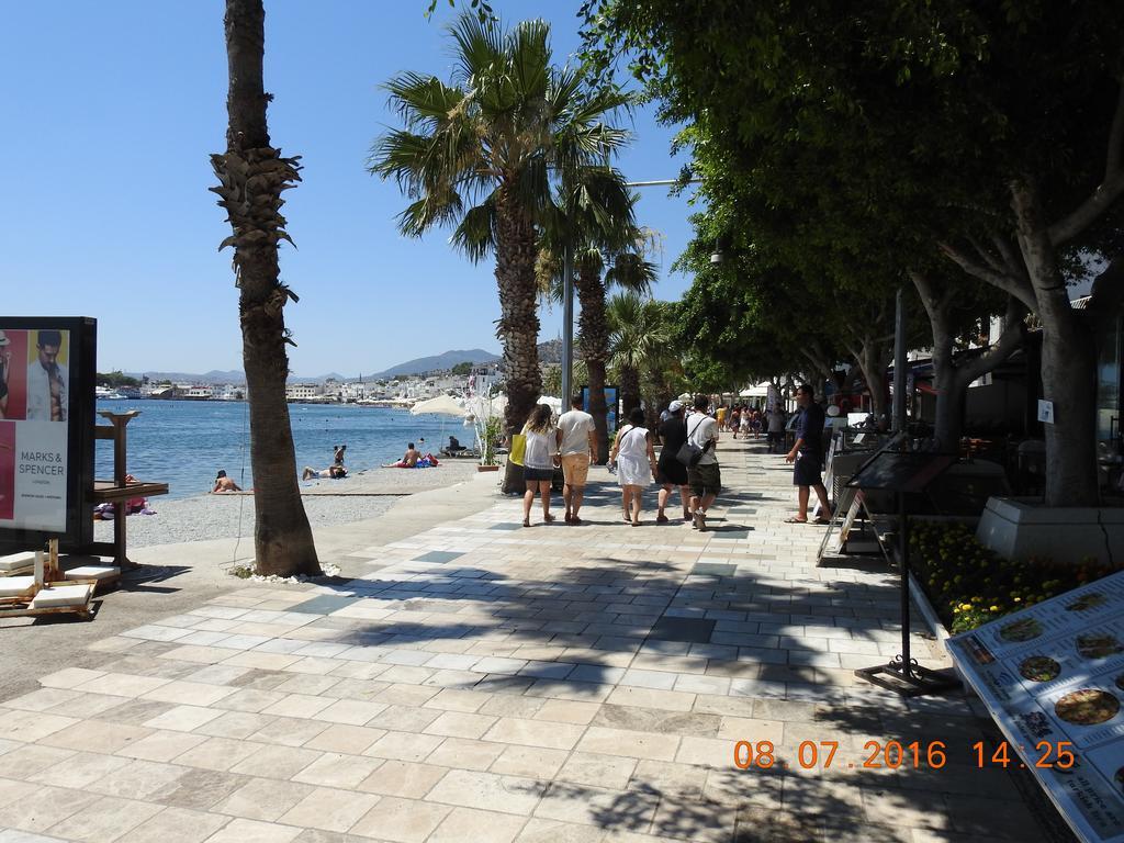 Kale Bodrum