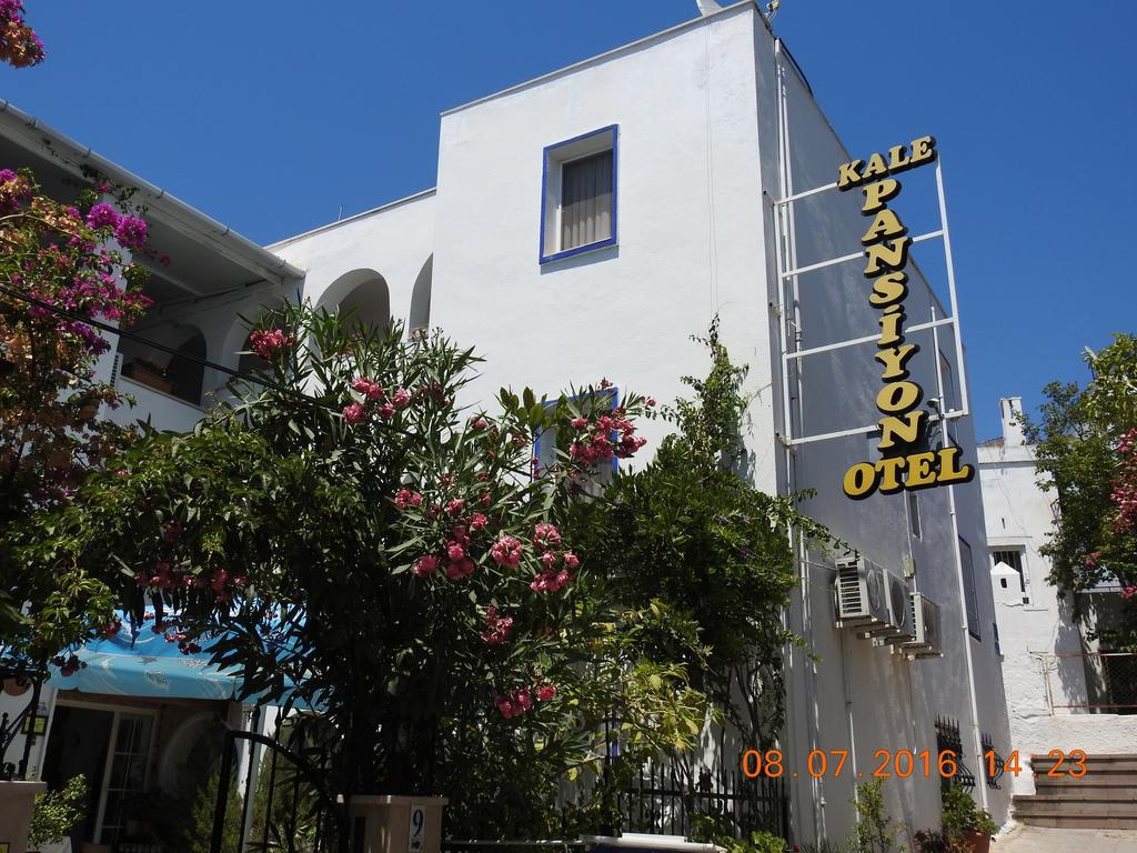 Kale Bodrum