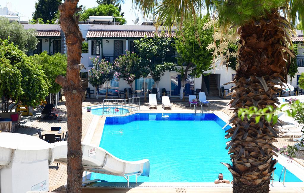 Delfi & Wellness Center