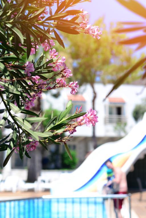 Otel Delfi & Wellness Center