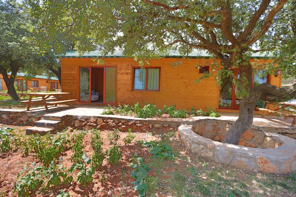Villa Tomato