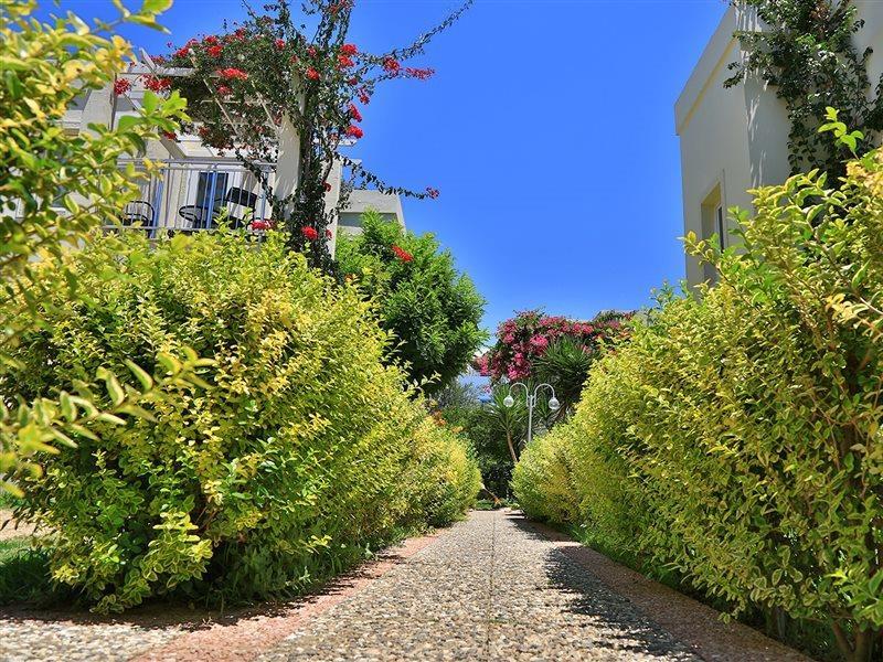 Resort Mandarin & 5*