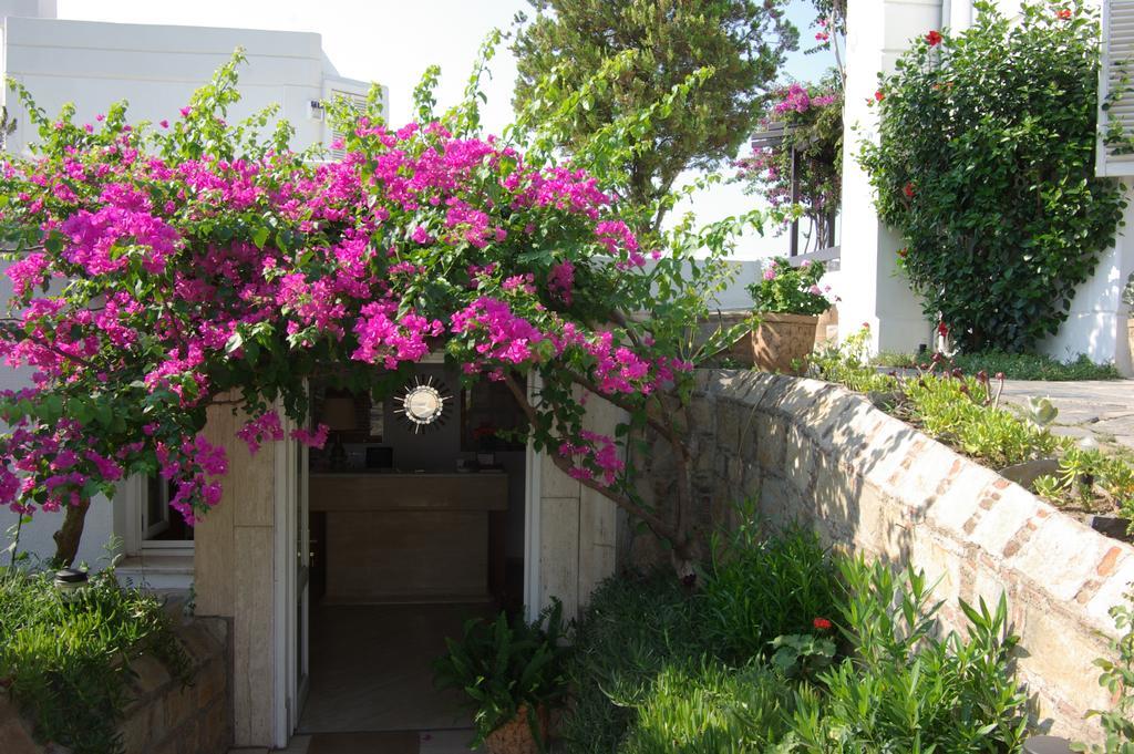 Antique Theatre Bodrum