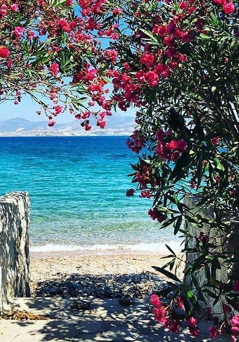 Agan Bodrum