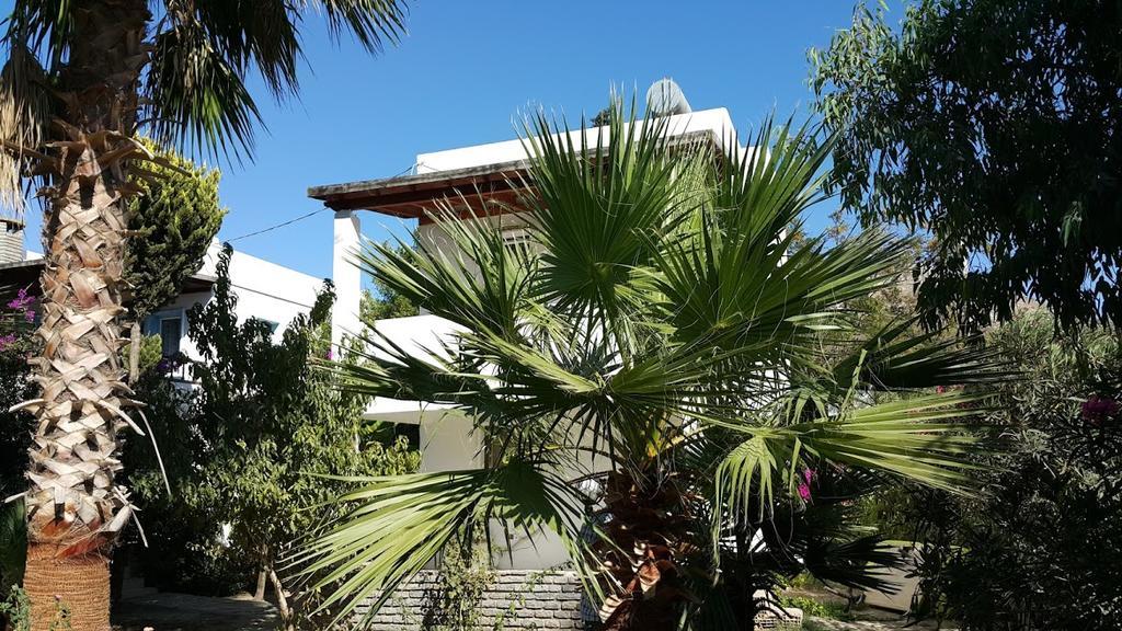 Alfa Aparthotel