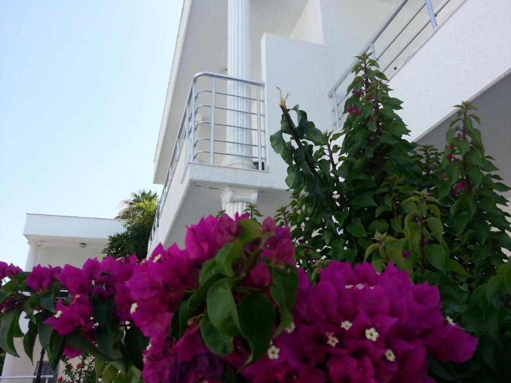 Costa Maya Otel 3*