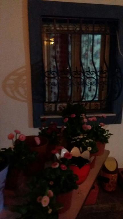 Merih Bed & Breakfast Bodrum