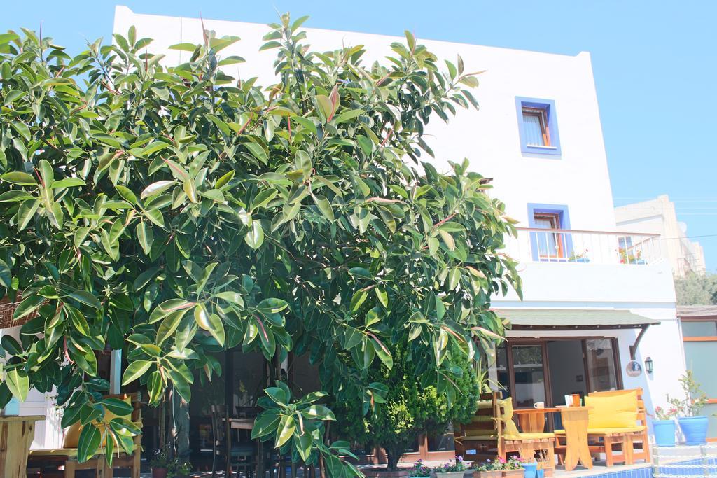 Hotel Oya Butik Bodrum