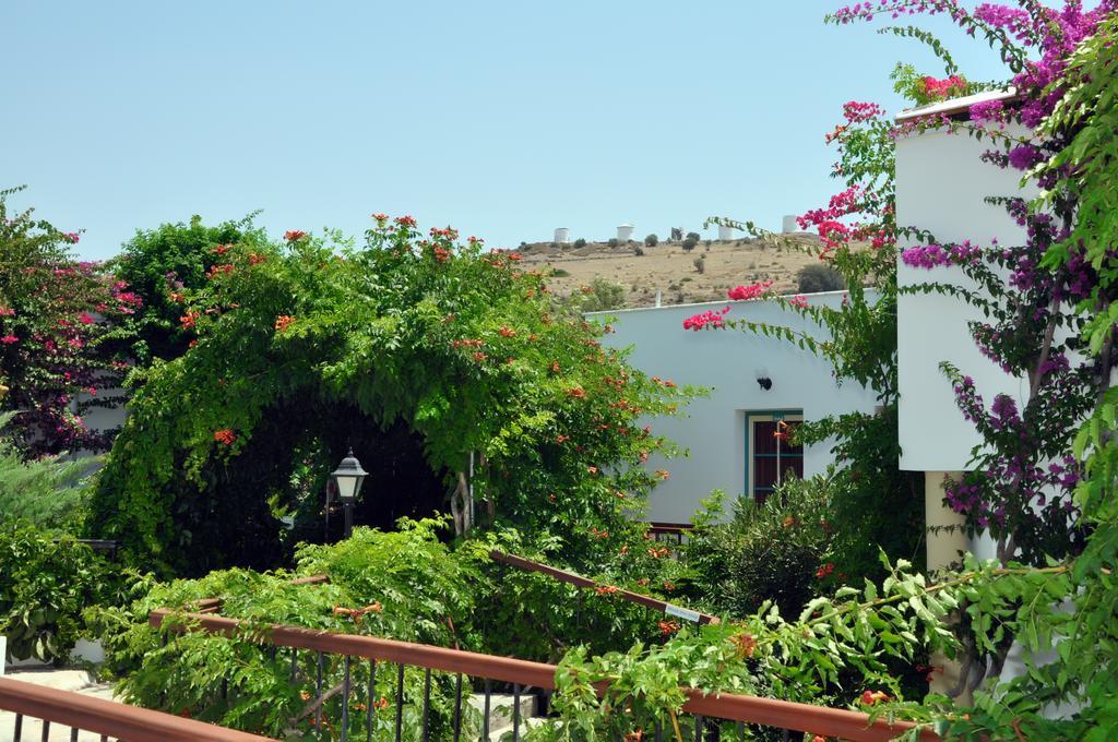 Siesta 3* Bodrum