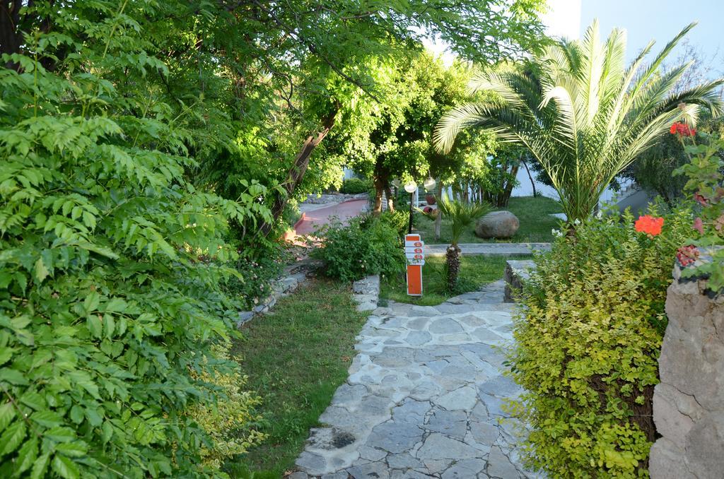 Rexene Resort 4*