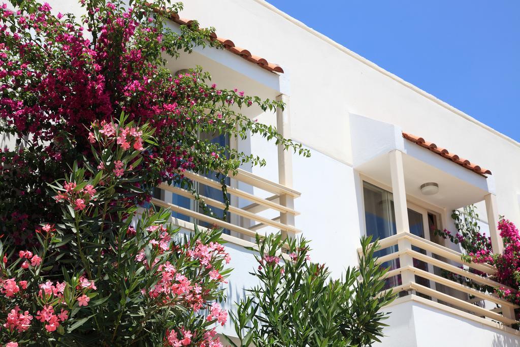 Delfi & Wellness Center Hotel Bodrum