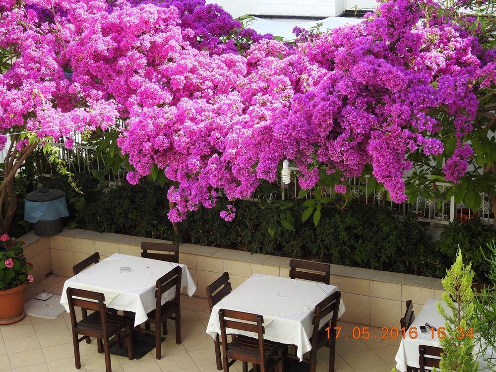 Kale Bodrum