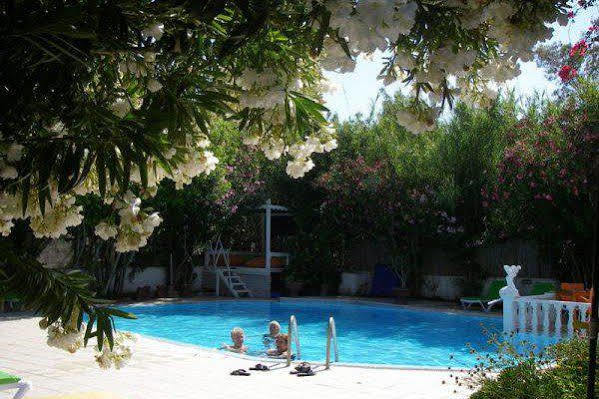 Bitez Bodrum