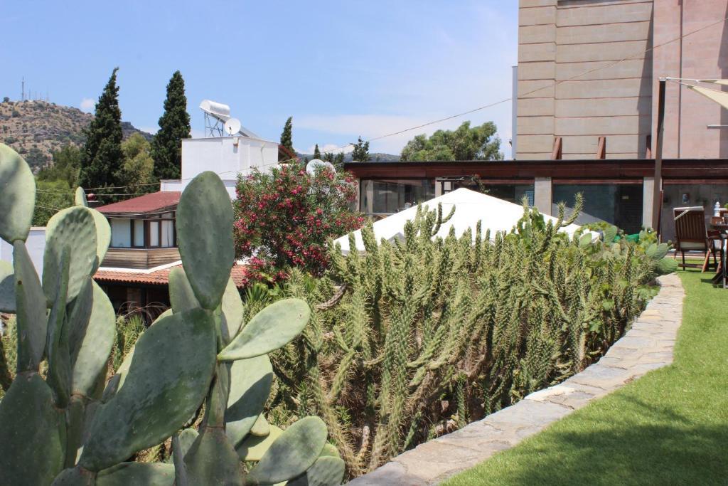 Sole & Hotel 3*