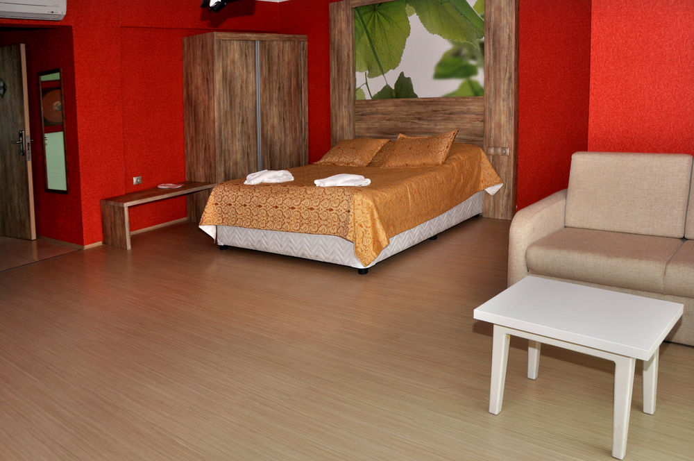 Otel Delfi & Wellness Center 2*