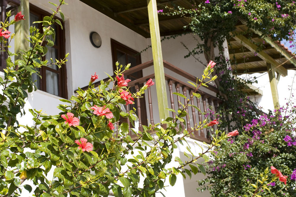 Hotel Delfi & Wellness Center 2*