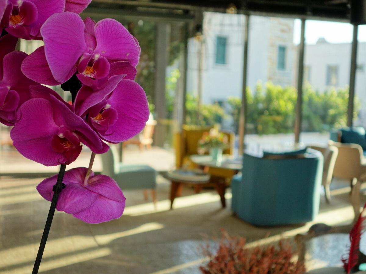 Eskiceshme Marina (adults Only) 2* Bodrum