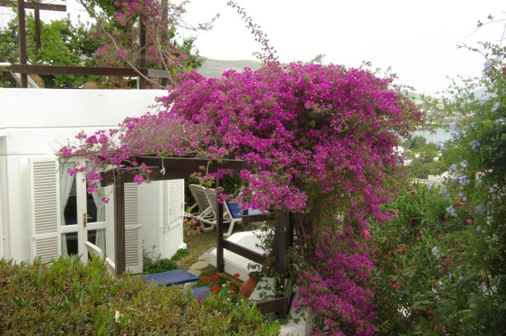 Hotel Antique Theatre Bodrum