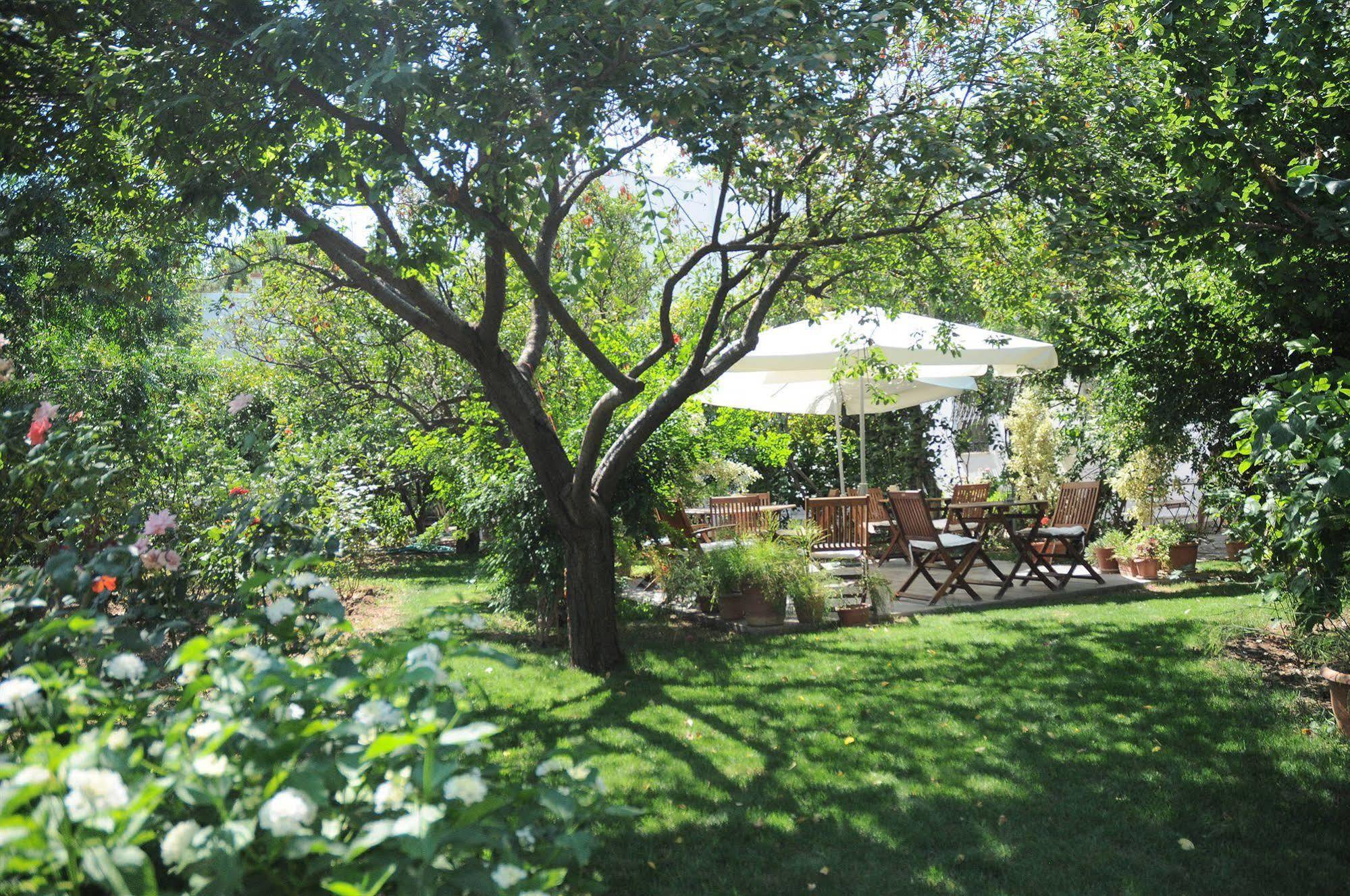 Gulec Bodrum