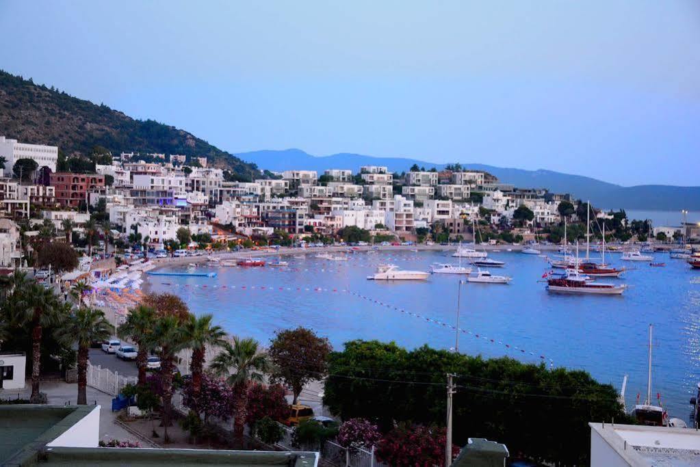 Angora 3* Bodrum