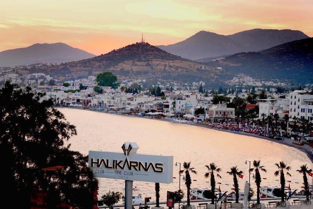 Angora Bodrum
