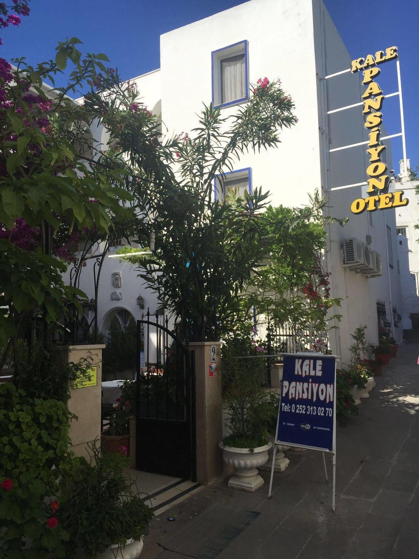 Kale Bodrum
