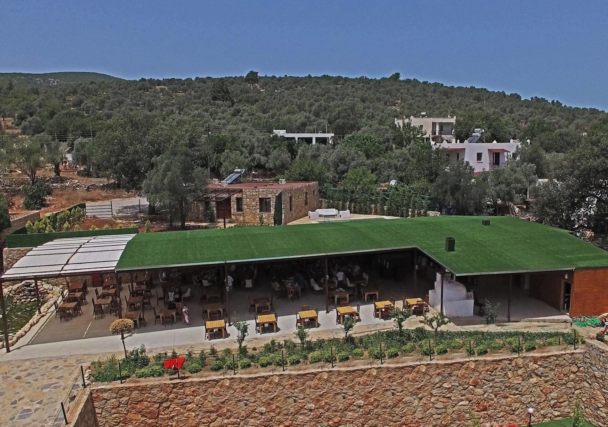 Tomato Villa
