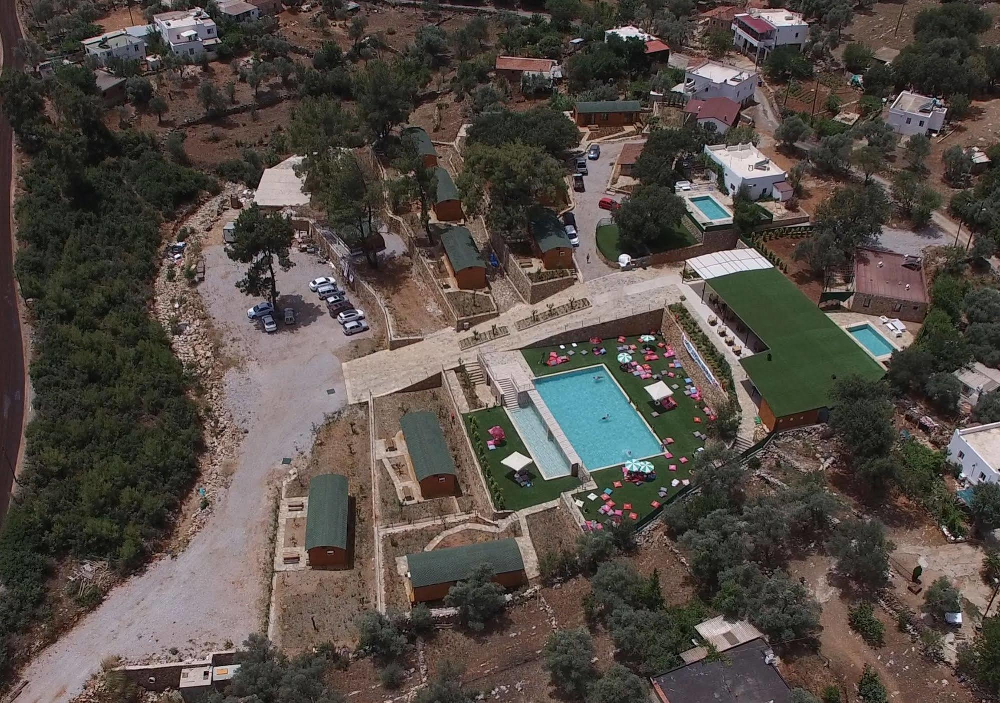 Tomato * Bodrum