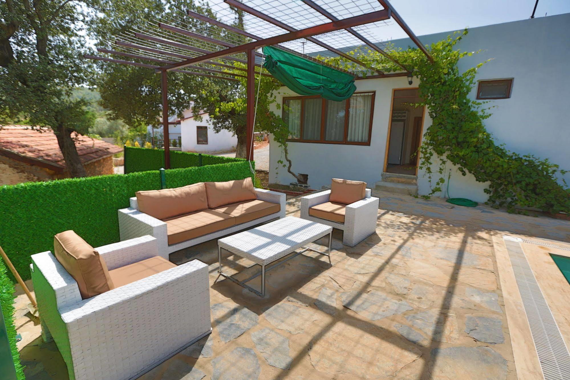 Tomato * Bodrum