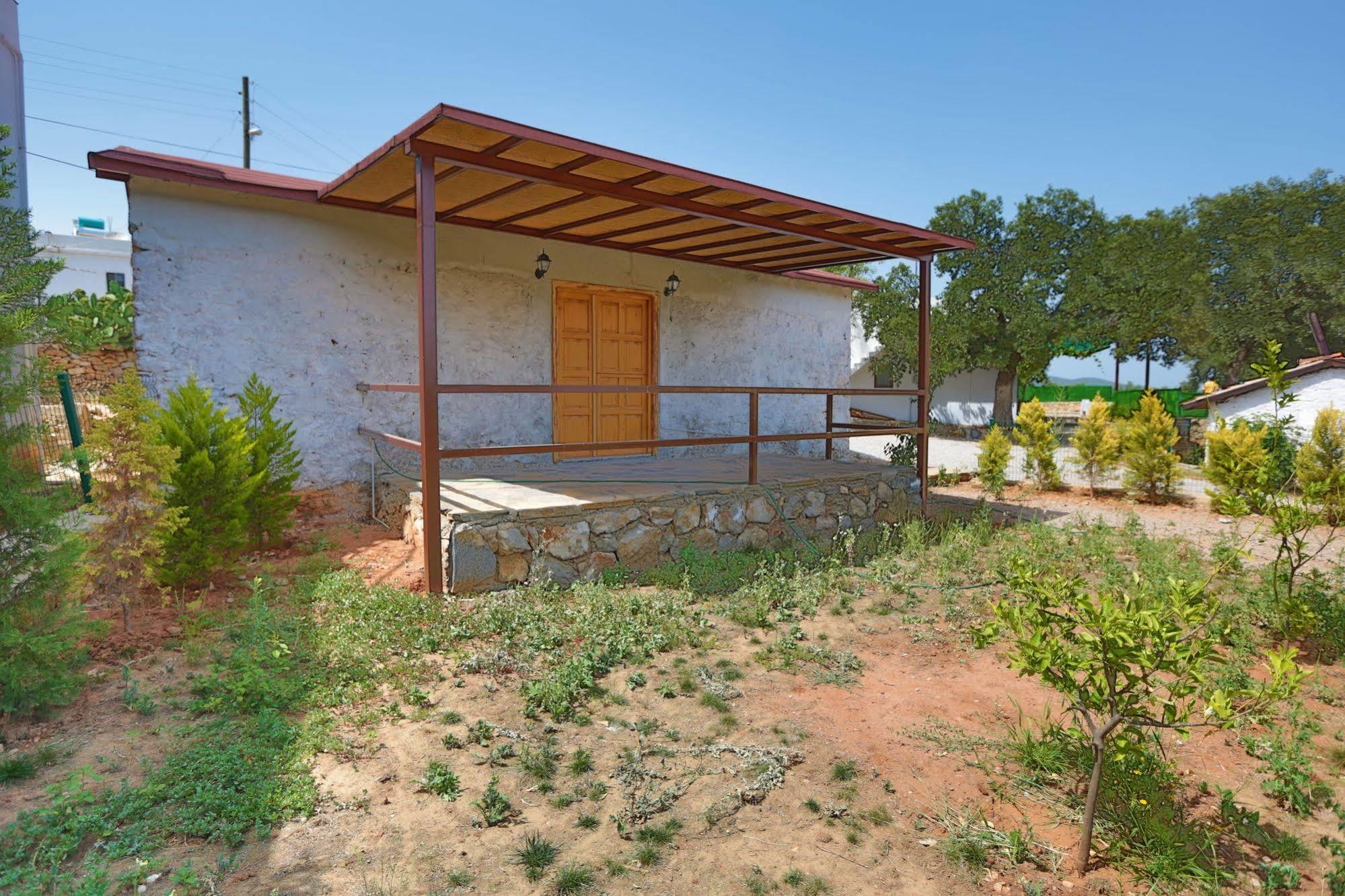Tomato Villa *