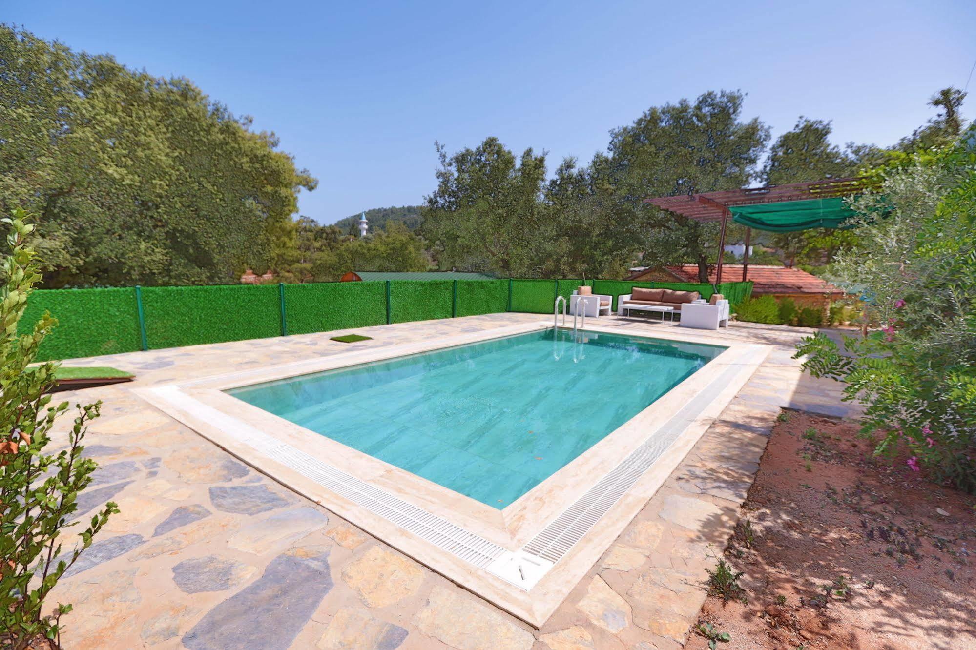 Tomato Villa