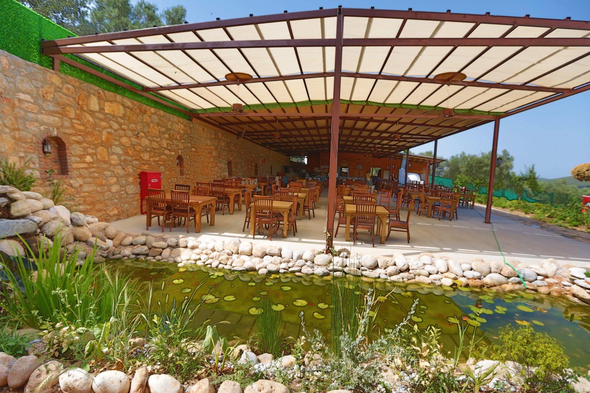 Villa Tomato *