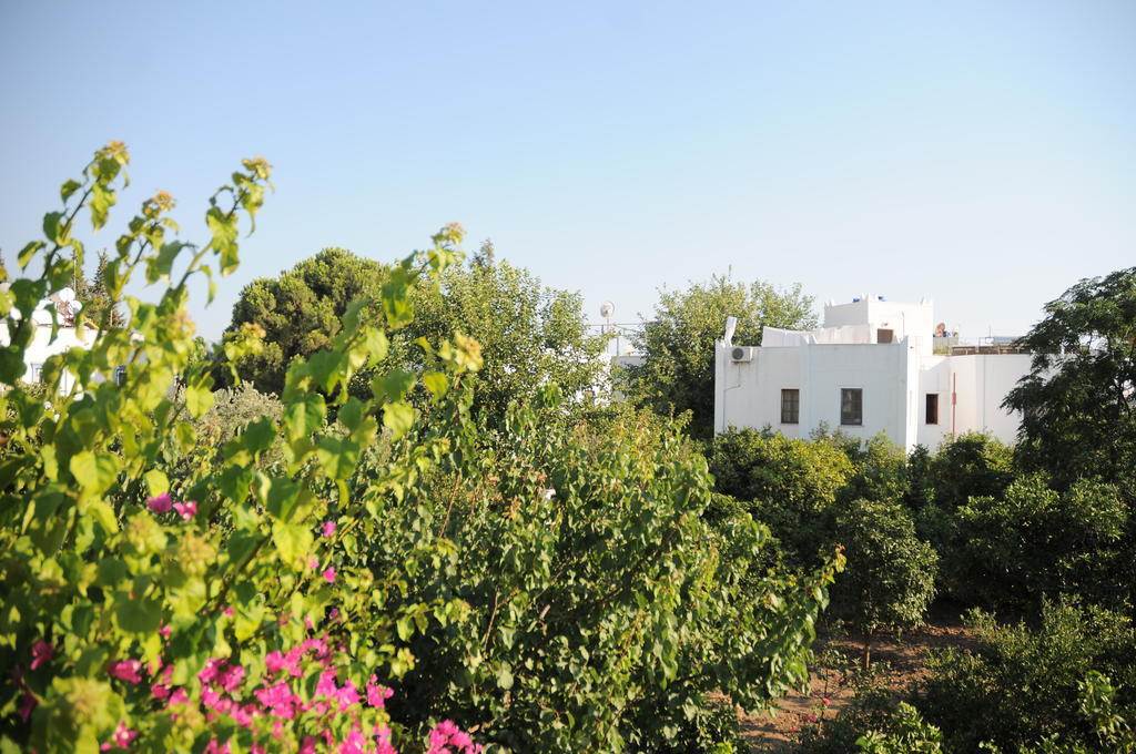 Hotel Gulec 2*