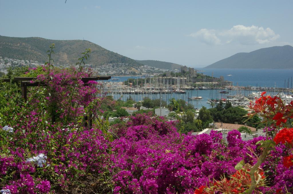 Antique Theatre 3* Bodrum
