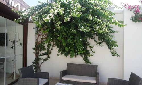 Hotel Asmin