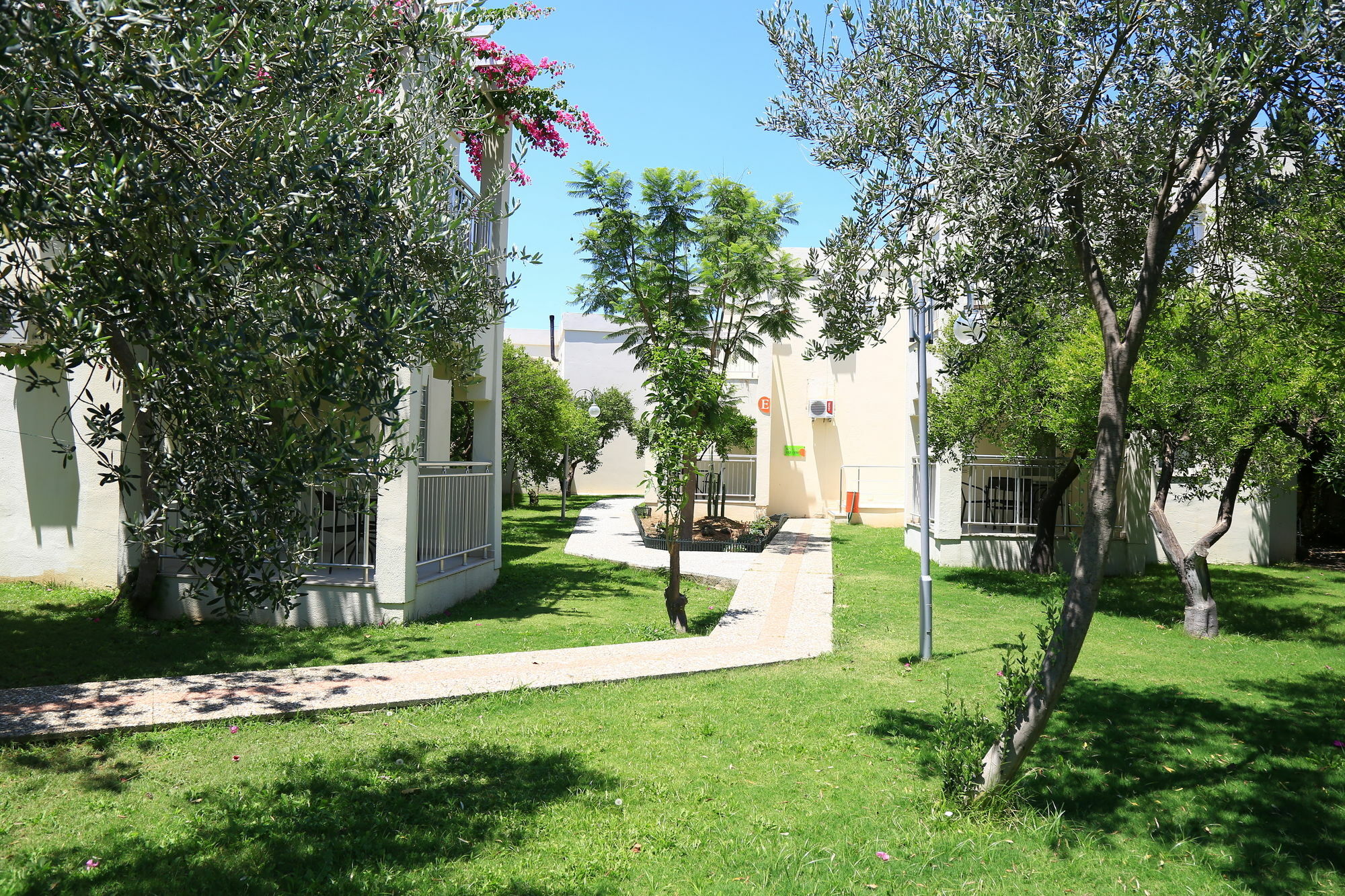 Mandarin & Bodrum