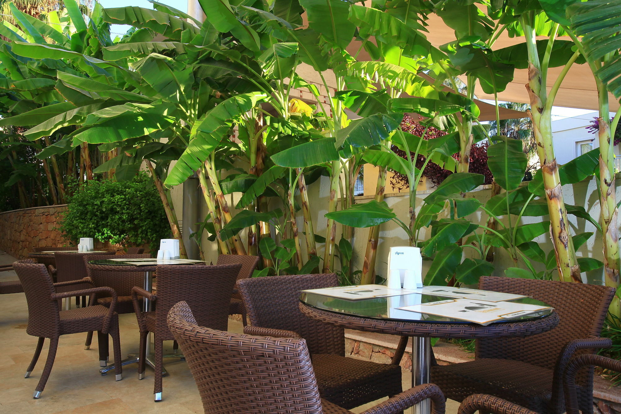 Resort Mandarin & Bodrum