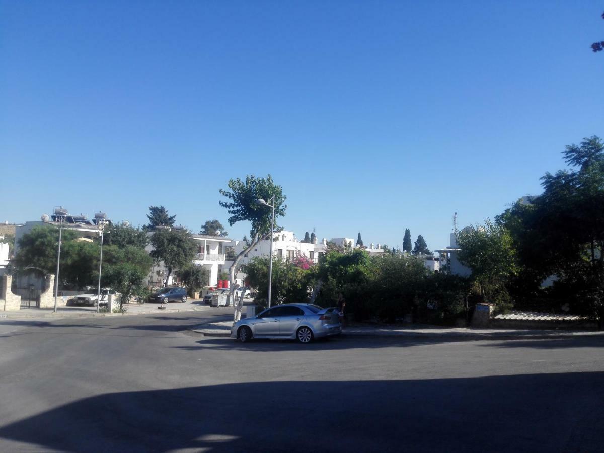 Parliament Apart * Bodrum