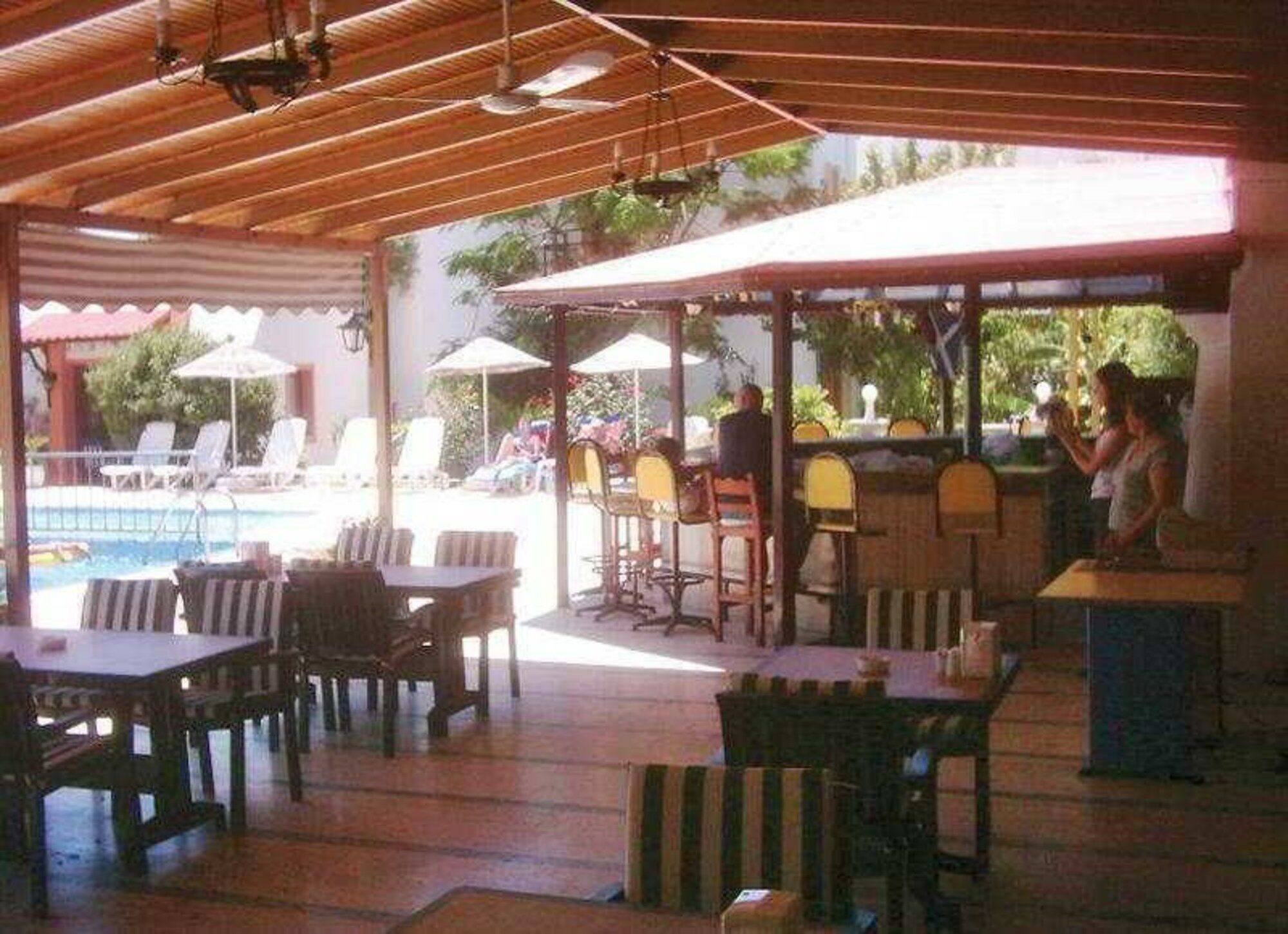 Hadi Bodrum