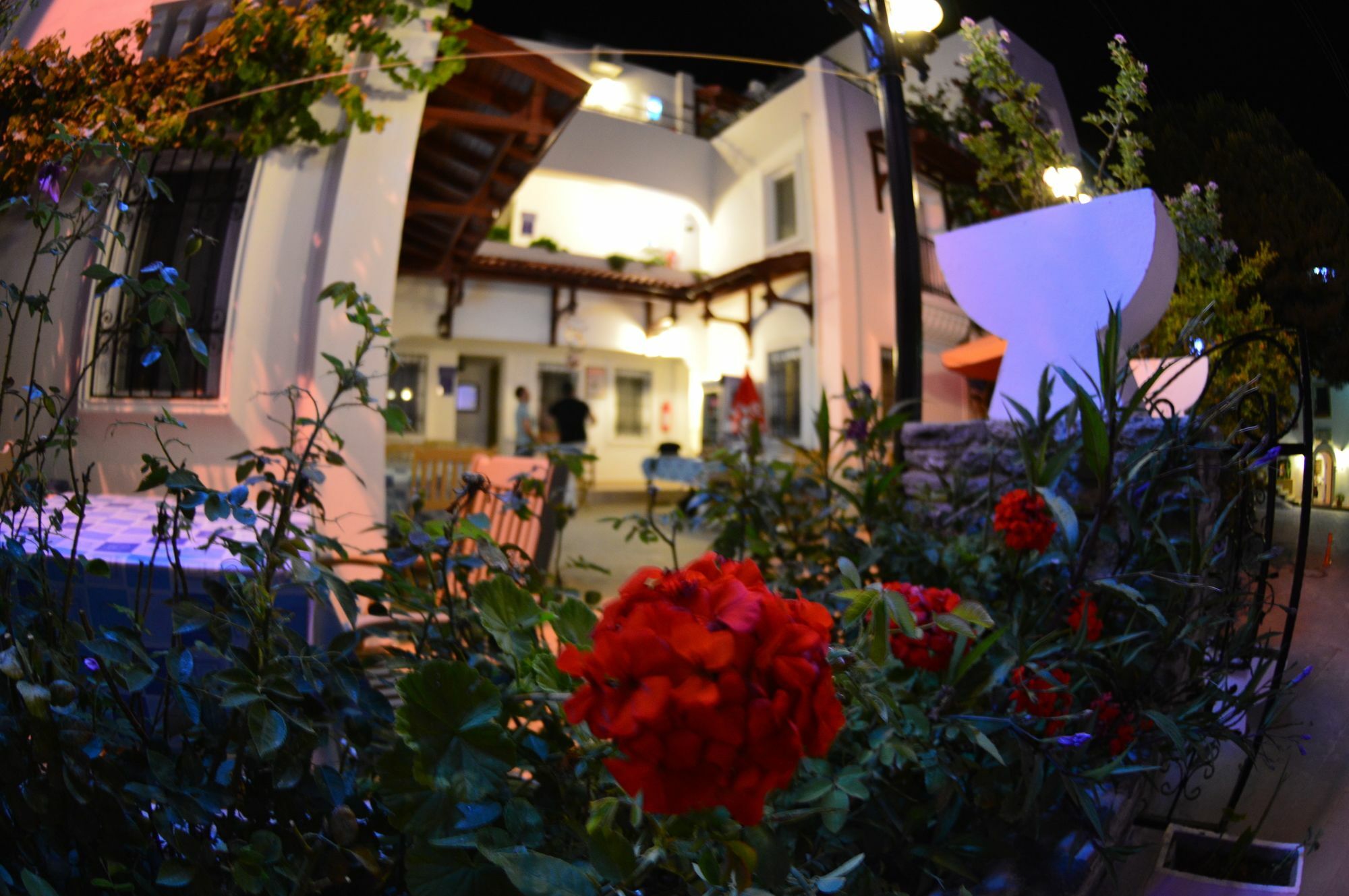 Istankoy Butik Bodrum