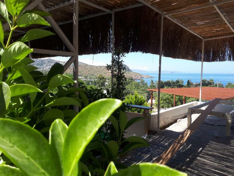 Hotel Oza Boutique