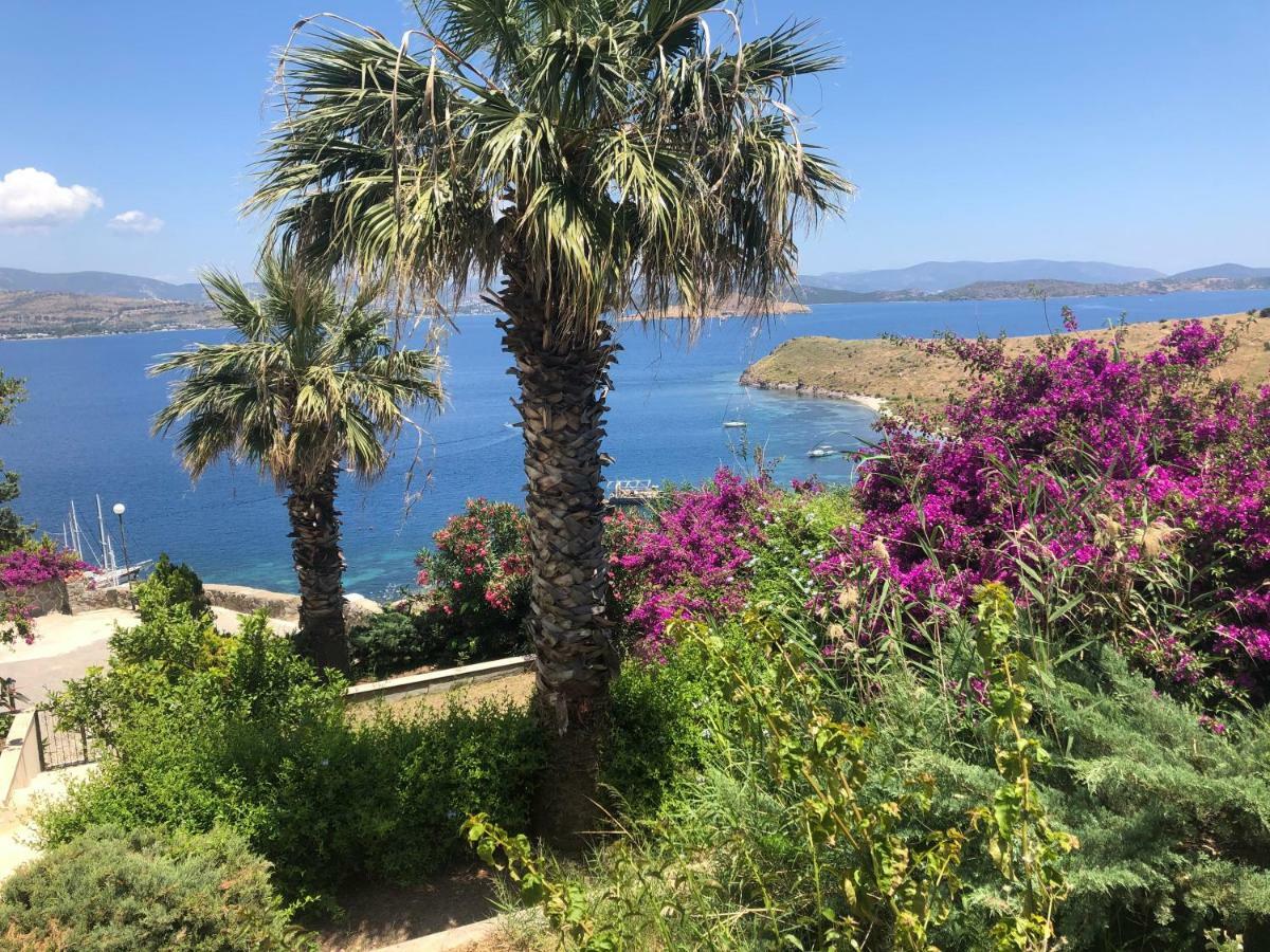 Bankev Sitesi Kargi Koyu Ilginlar Plaji Bodrum