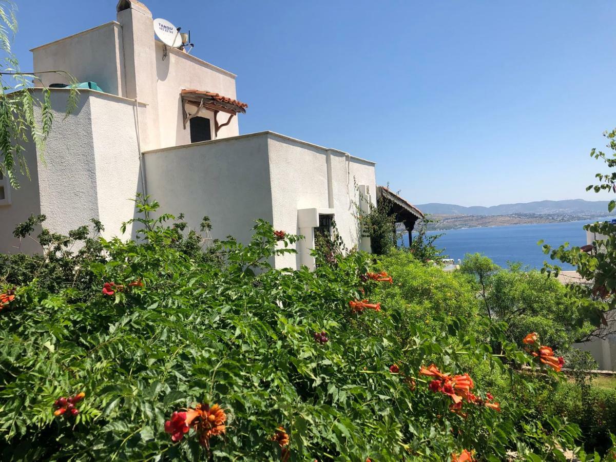 Bankev Sitesi Kargi Koyu Ilginlar Plaji *
