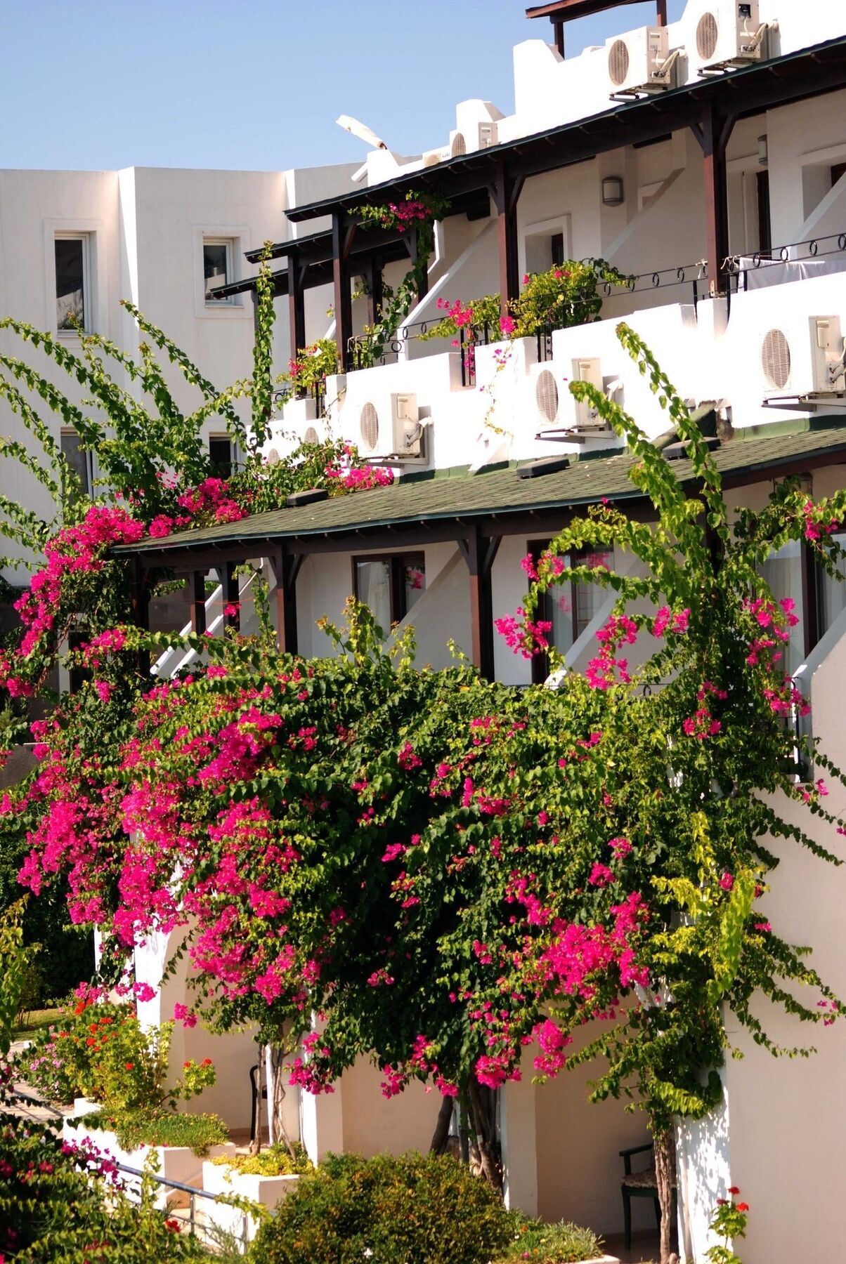 Forever Club (adults Only) Resort