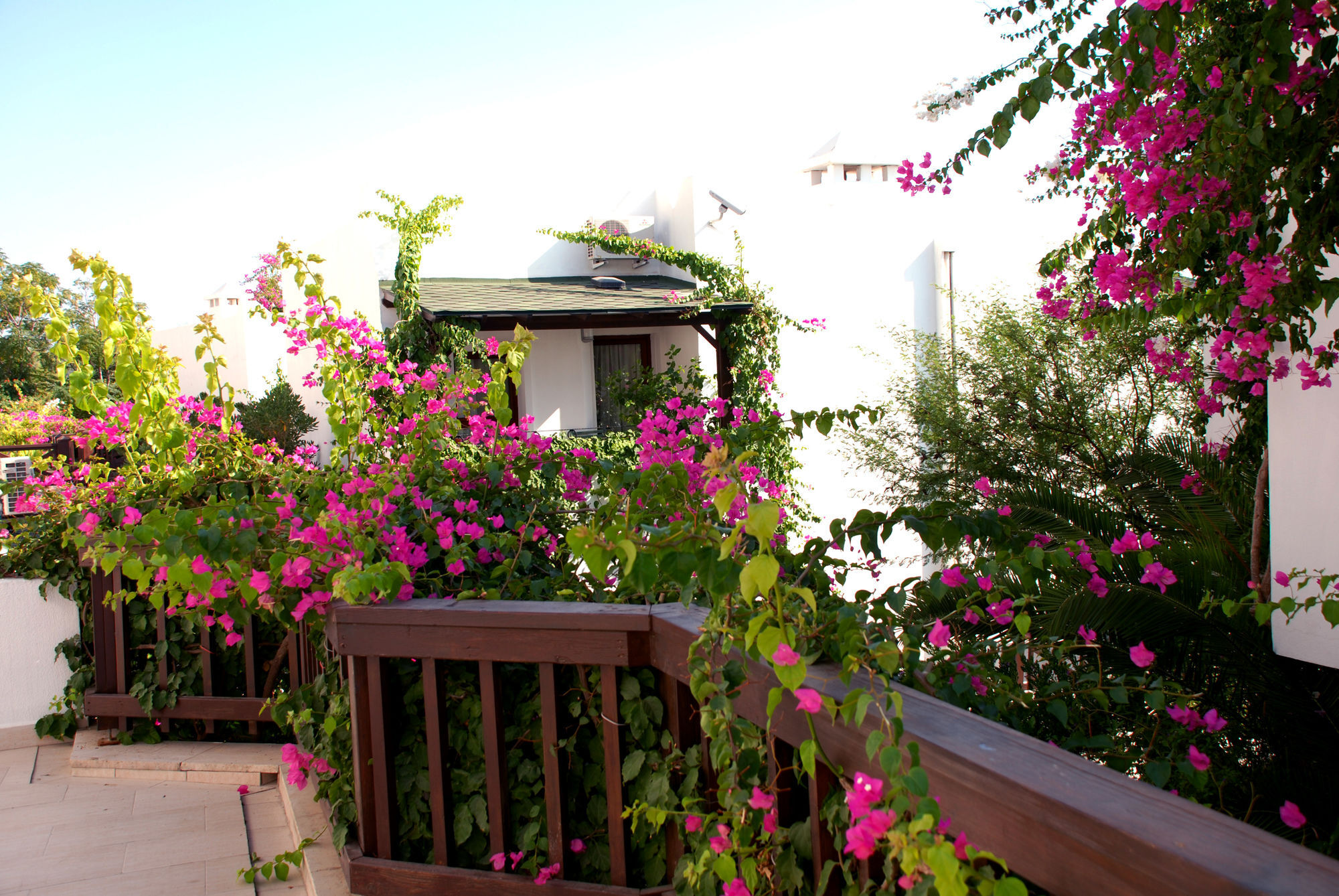 Resort Forever Club (adults Only) Bodrum