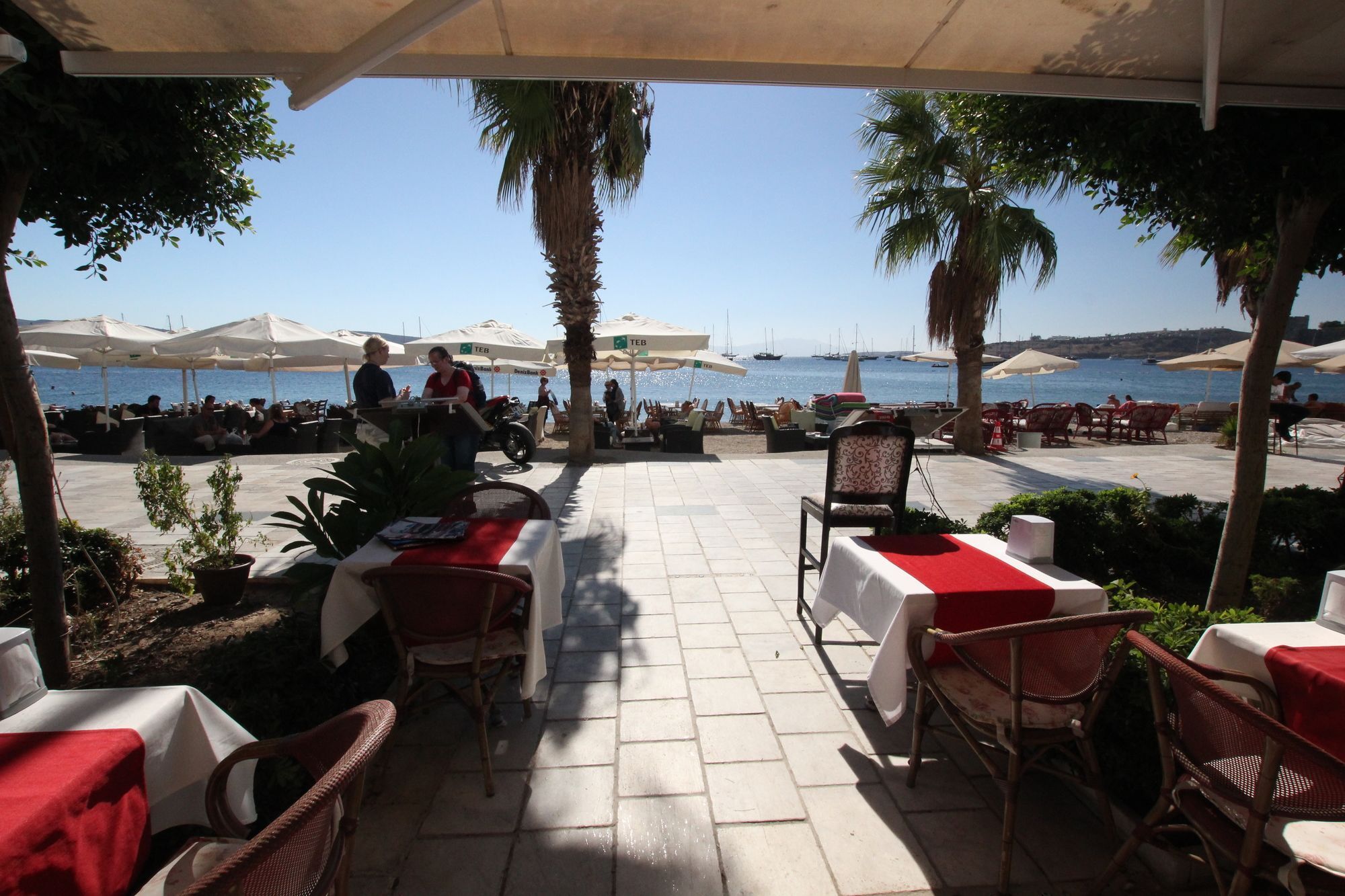 Dinc Bodrum